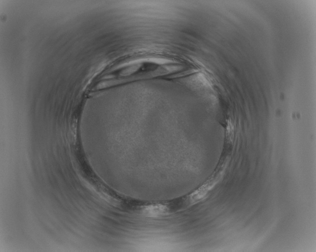 X0000076320168200610161653