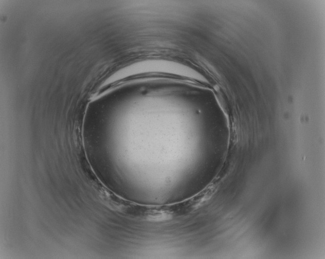 X0000076320169200610161653