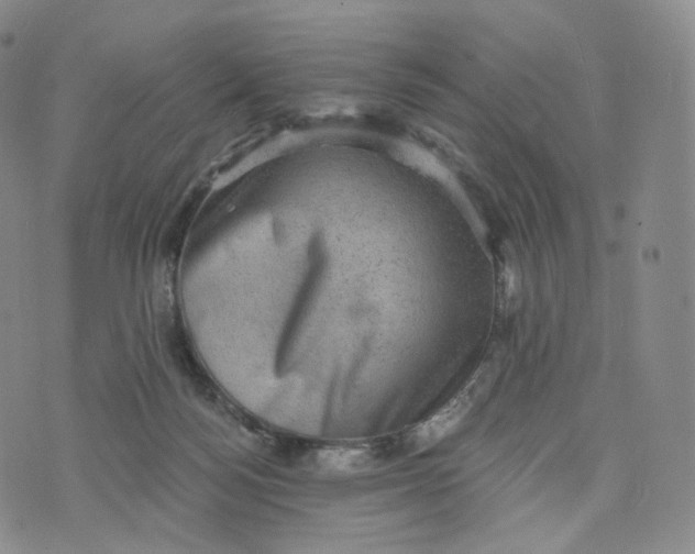 X0000076320172200610161653