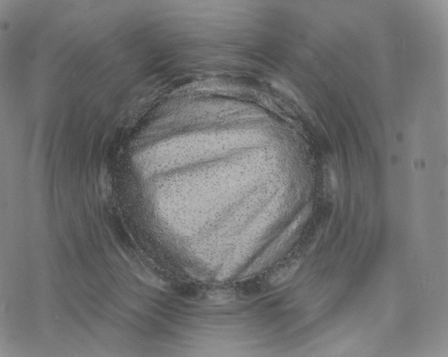 X0000076320173200610161653