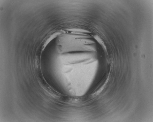 X0000076320174200610161653