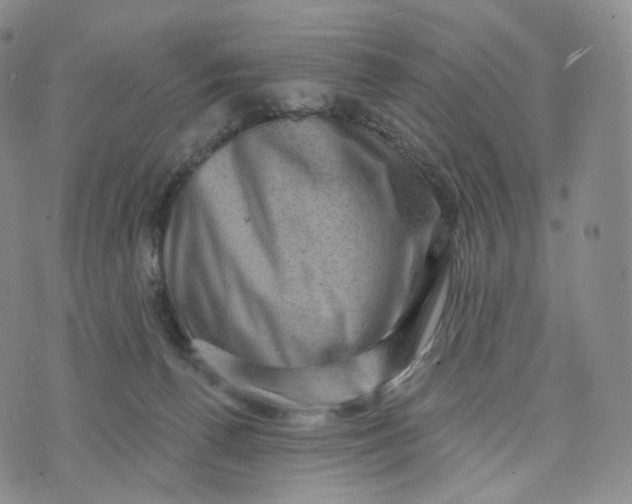 X0000076320176200610161653