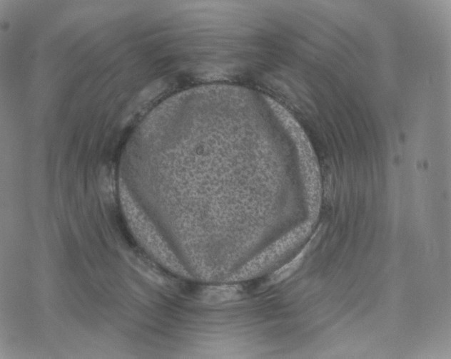 X0000076320179200610161653