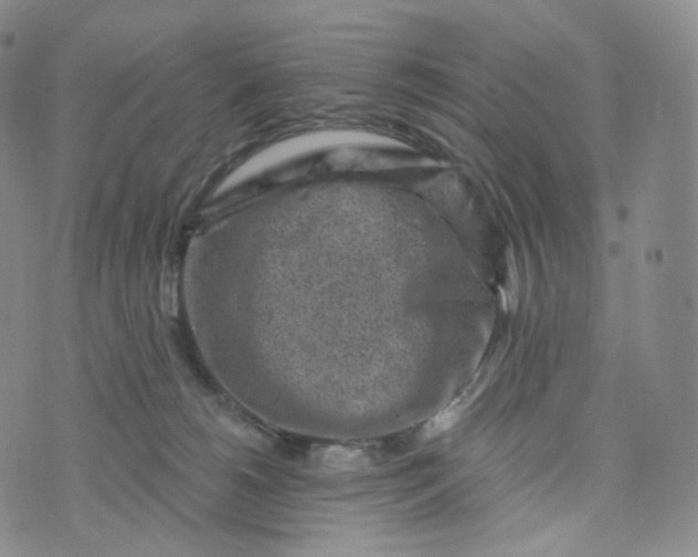 X0000076320180200610161653