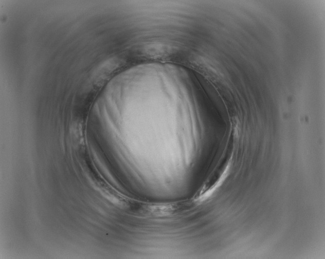 X0000076320182200610161653