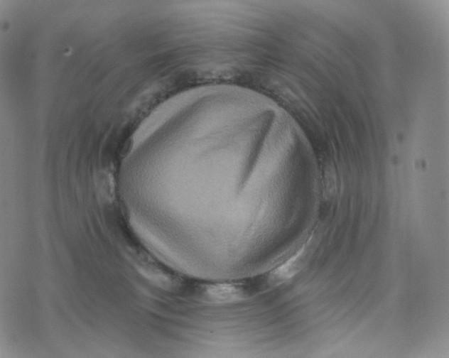 X0000076320183200610161653