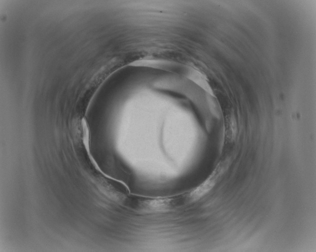 X0000076320184200610161653