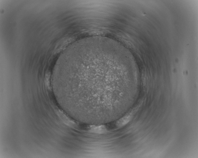 X0000076320185200610161653