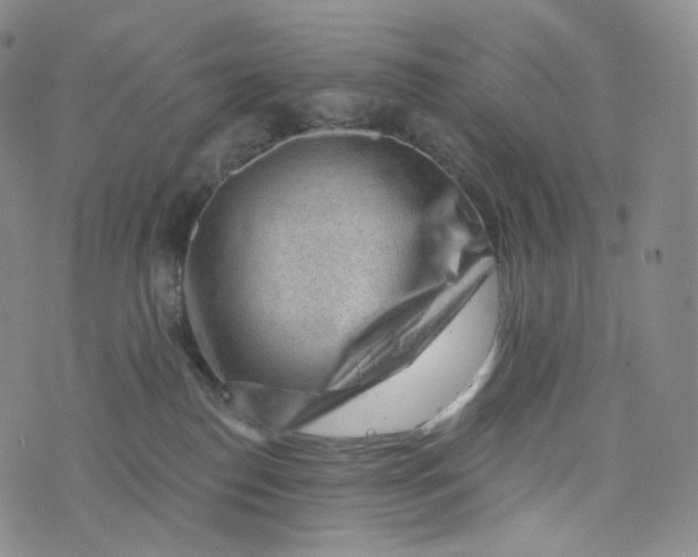 X0000076320186200610161653