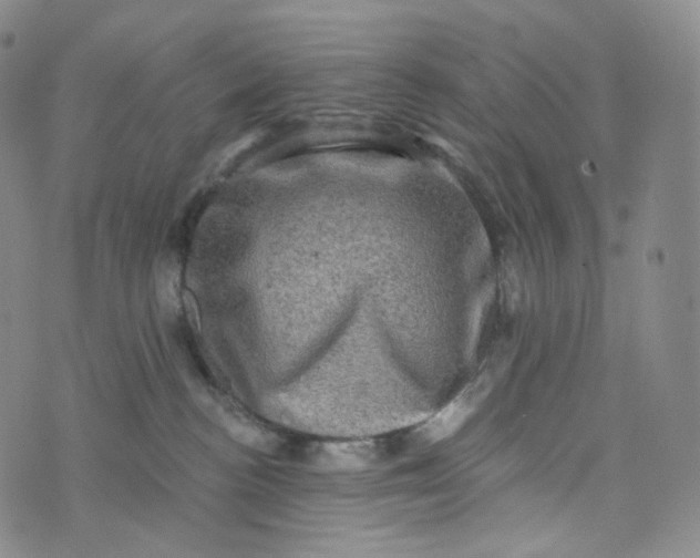 X0000076320188200610161653