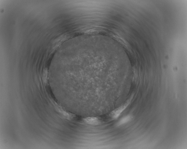 X0000076320189200610161653