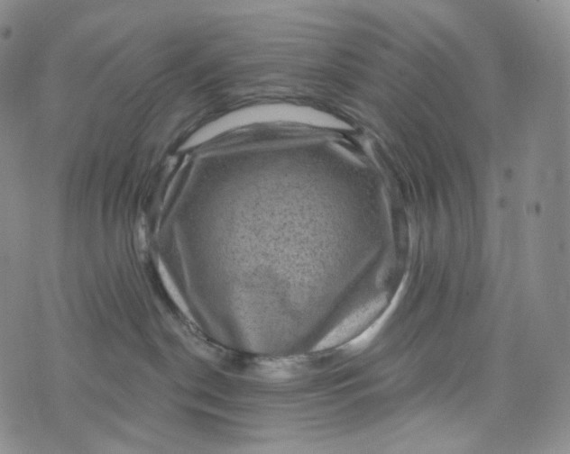 X0000076320190200610161653