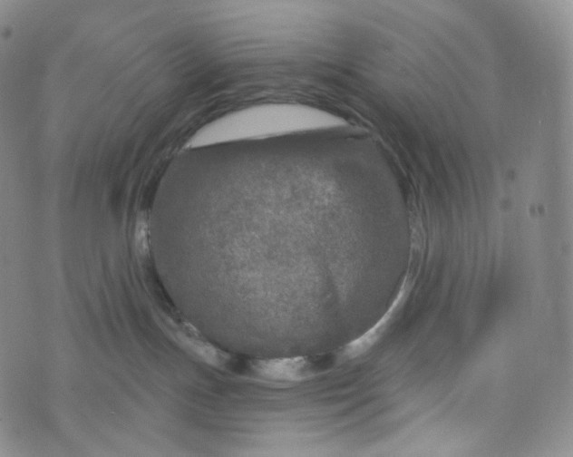 X0000076320191200610161653