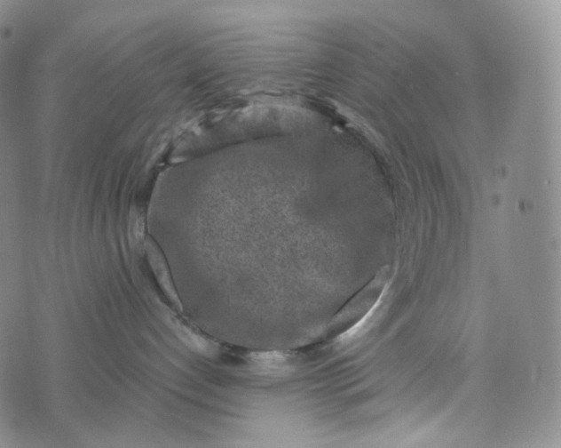 X0000076320192200610161653