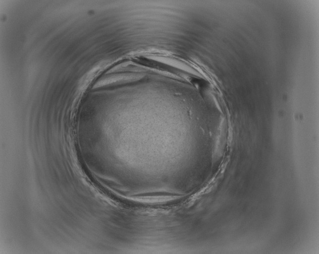 X0000076320193200610161652