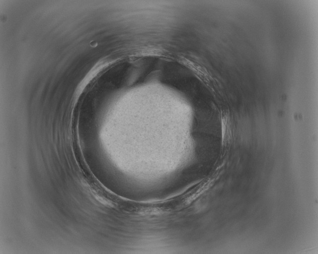 X0000076320195200610161652