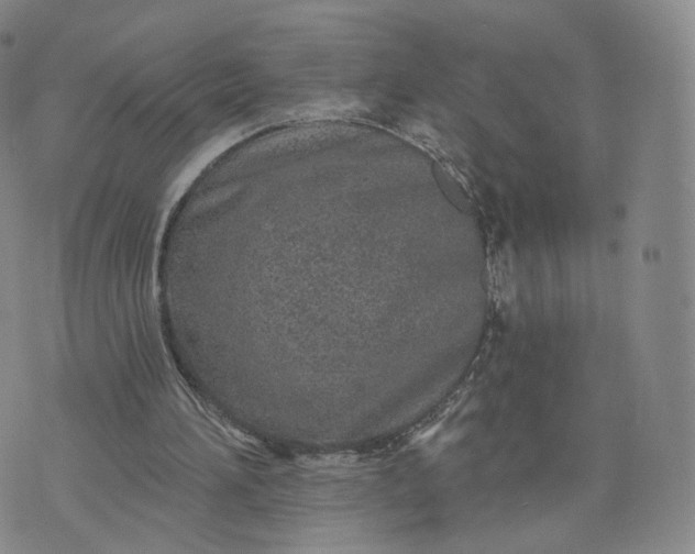 X0000076320196200610161652