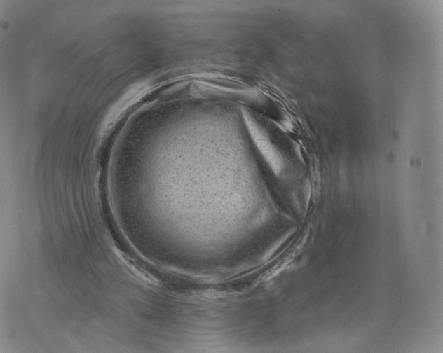 X0000076320197200610161652