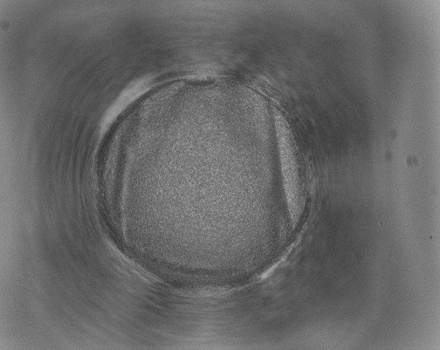 X0000076320198200610161652