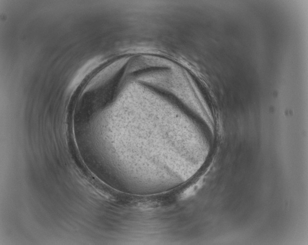 X0000076320199200610161652