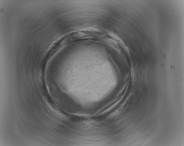 X0000076320201200610161652