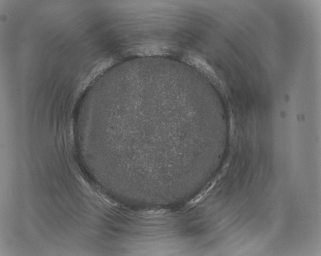 X0000076320202200610161652