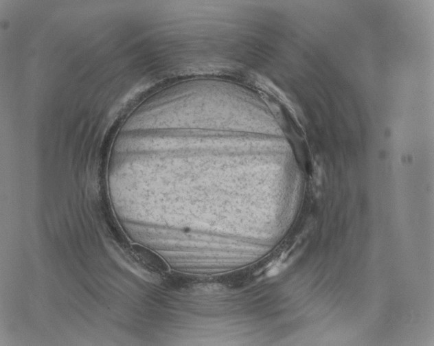 X0000076320203200610161652