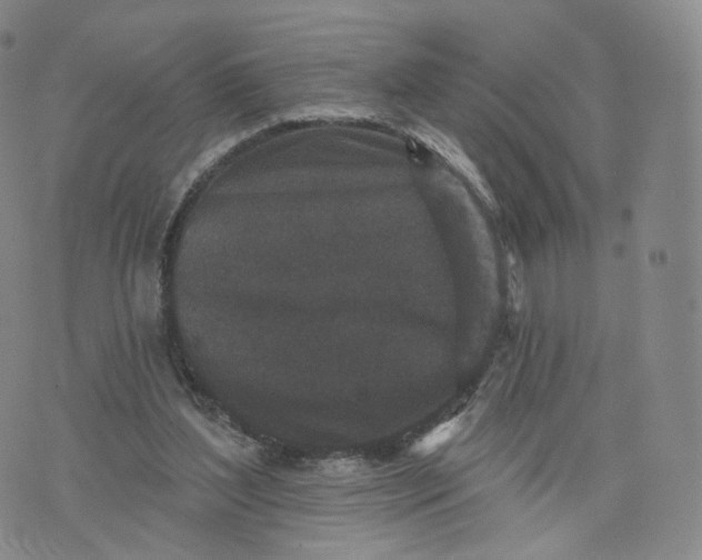 X0000076320204200610161652