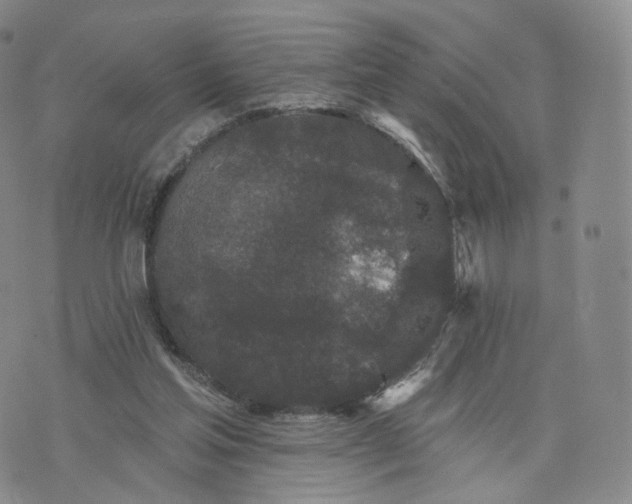 X0000076320205200610161652