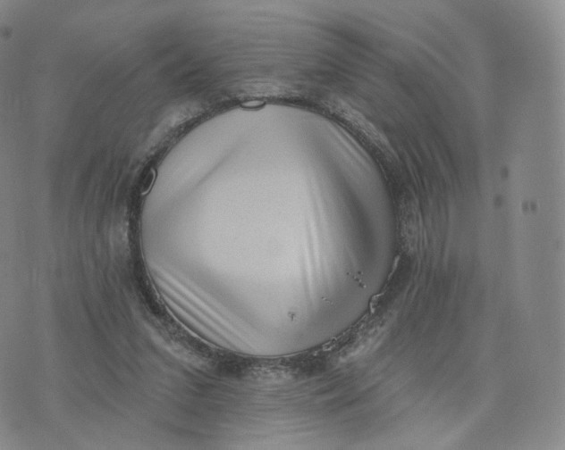 X0000076320207200610161652