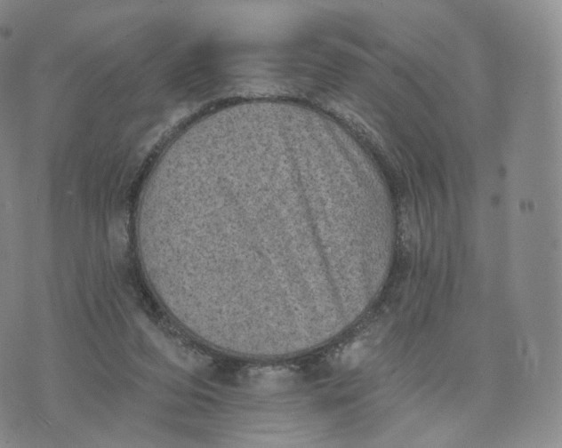 X0000076320208200610161652