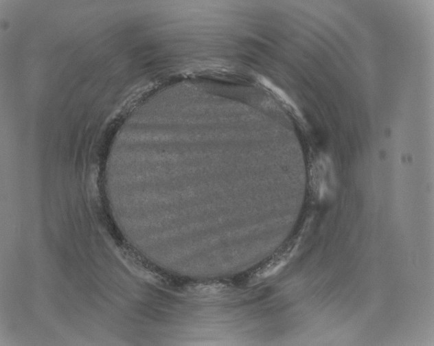 X0000076320209200610161652