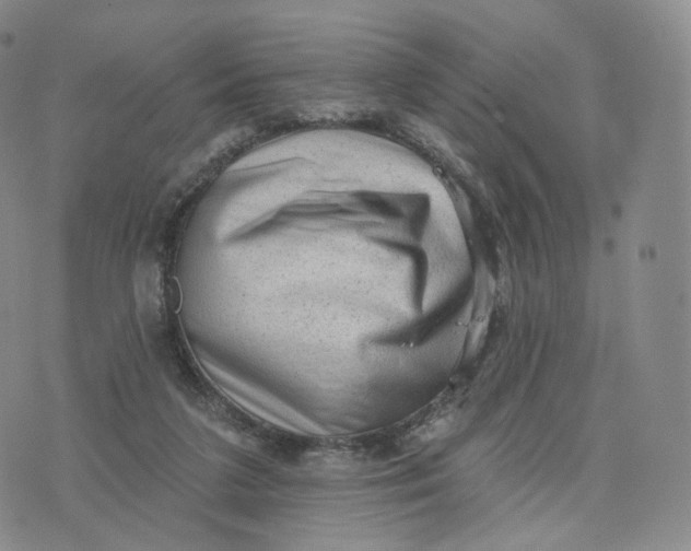 X0000076320211200610161652