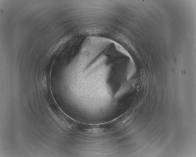 X0000076320212200610161652