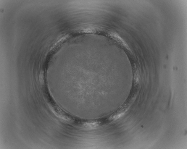 X0000076320213200610161652