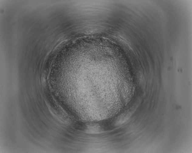 X0000076320214200610161652