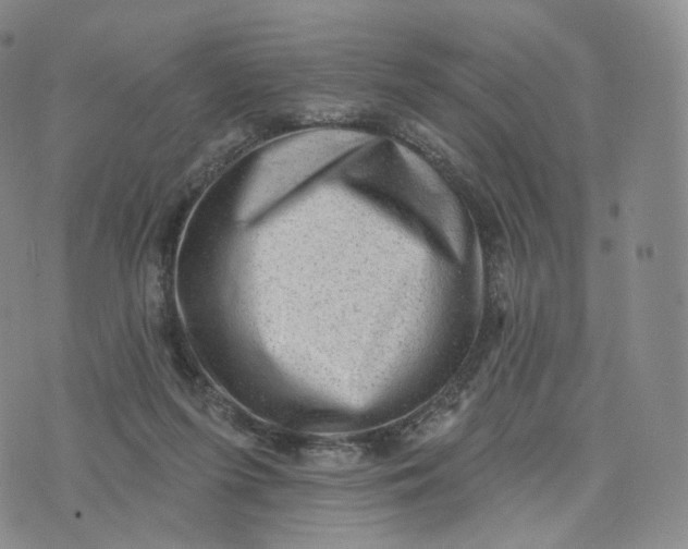 X0000076320215200610161652