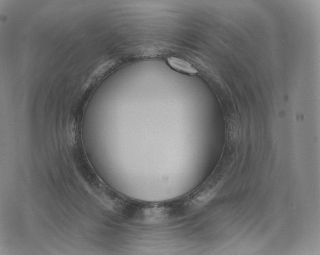 X0000076320216200610161652