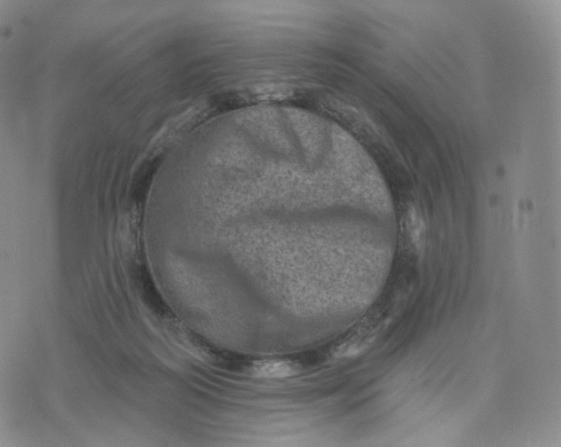 X0000076320218200610161652