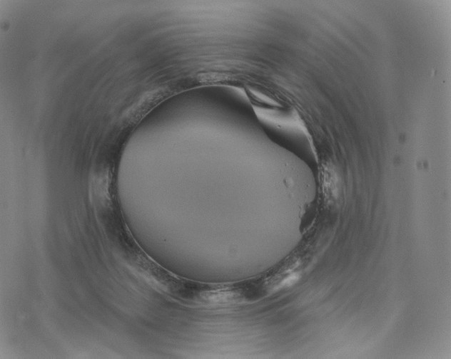 X0000076320219200610161652