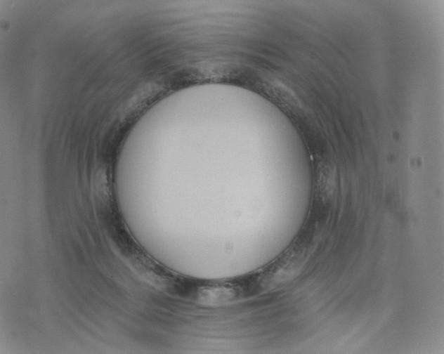 X0000076320220200610161652