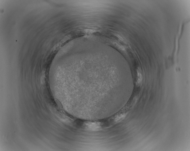 X0000076320221200610161652