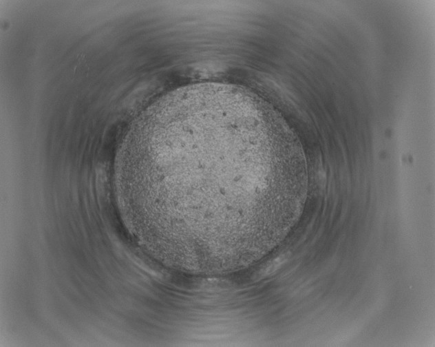 X0000076320222200610161652