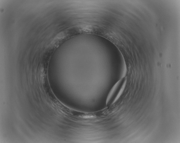 X0000076320223200610161652