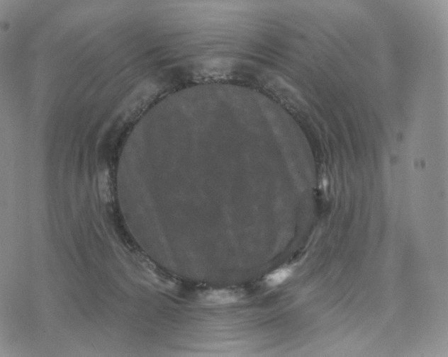 X0000076320224200610161652