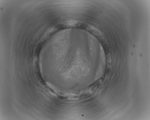 X0000076320225200610161652