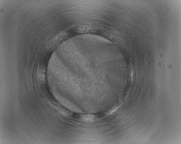 X0000076320226200610161652