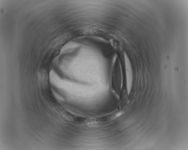 X0000076320228200610161652