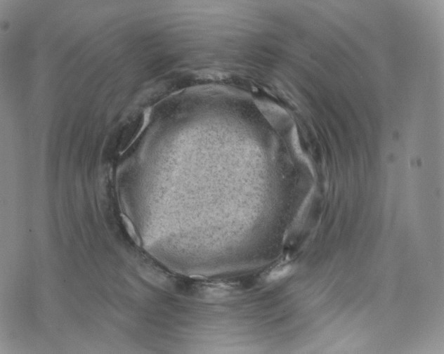 X0000076320229200610161652