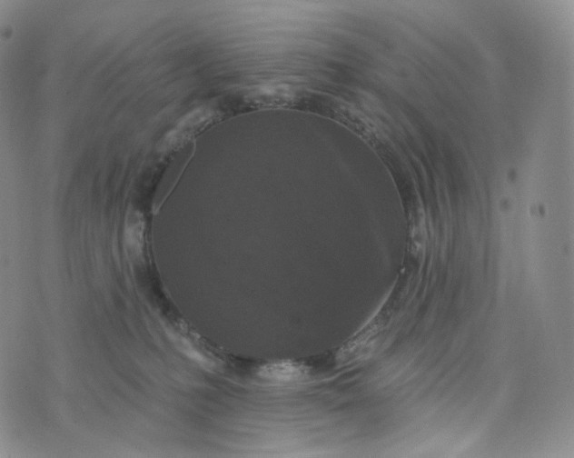 X0000076320231200610161652